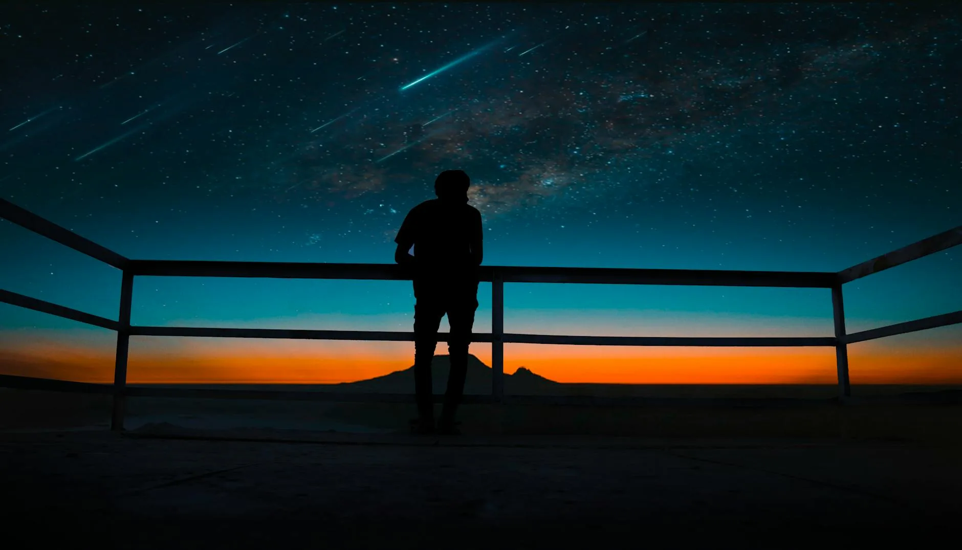 silhouette of person watching the Leonid showers