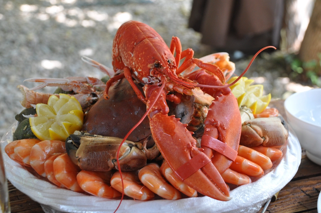 Free seafood boil image. "Selection of fresh and nutritious seafood options on a wooden table"