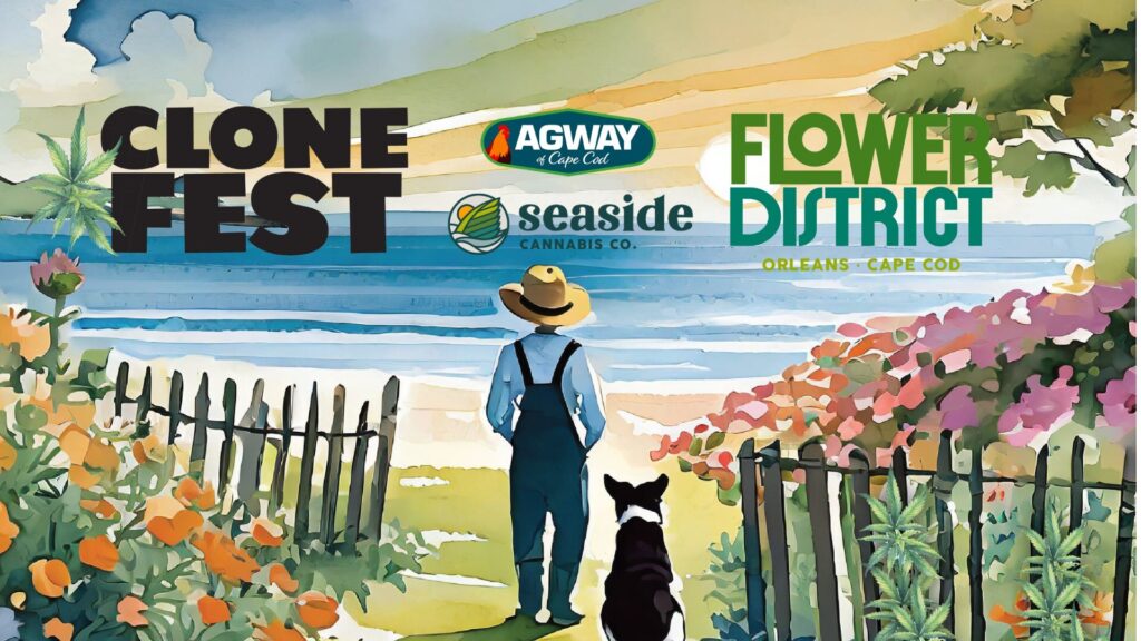 Clone Fest banner with colorful cannabis leaf illustrations and the text 'Celebrate Cannabis Cultivation and Community in the Orleans Flower District'