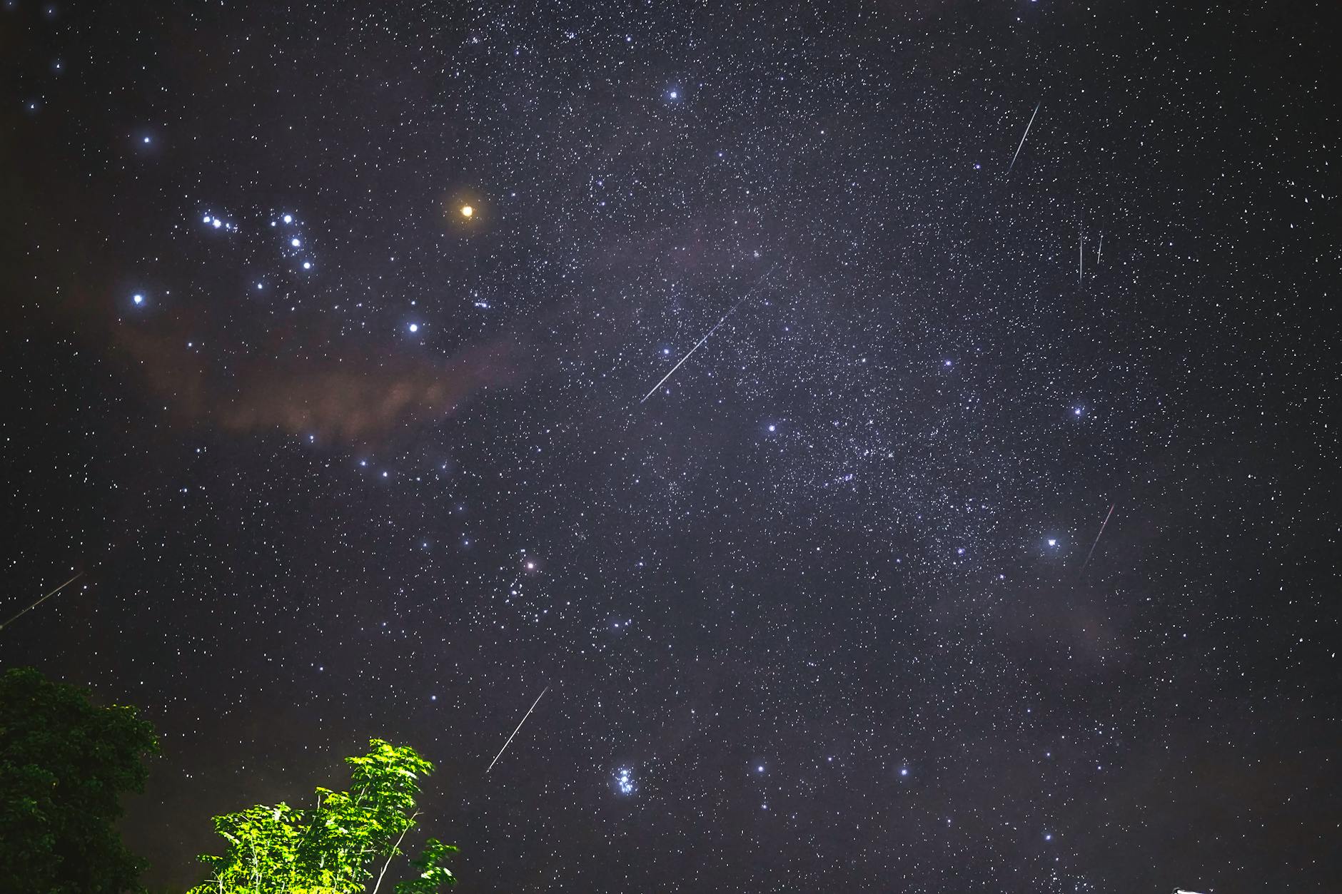 falling stars in the night sky. Perseid Meteor Shower