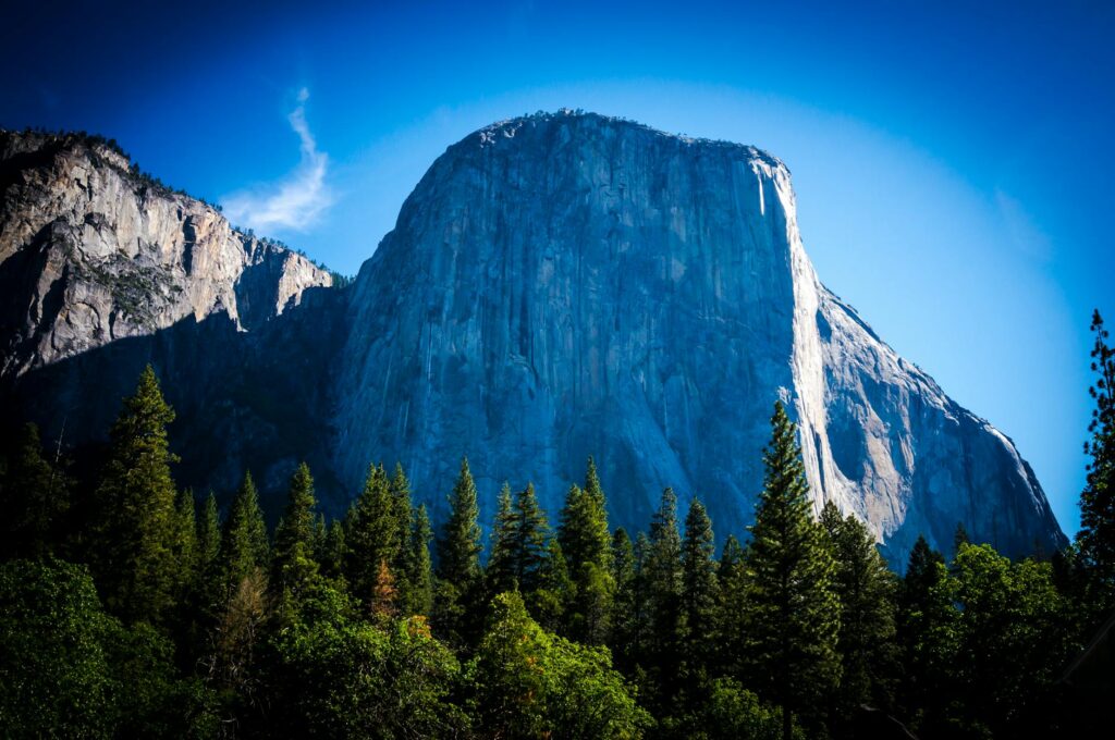 green pine trees in front of a rock mountain. Tenaya