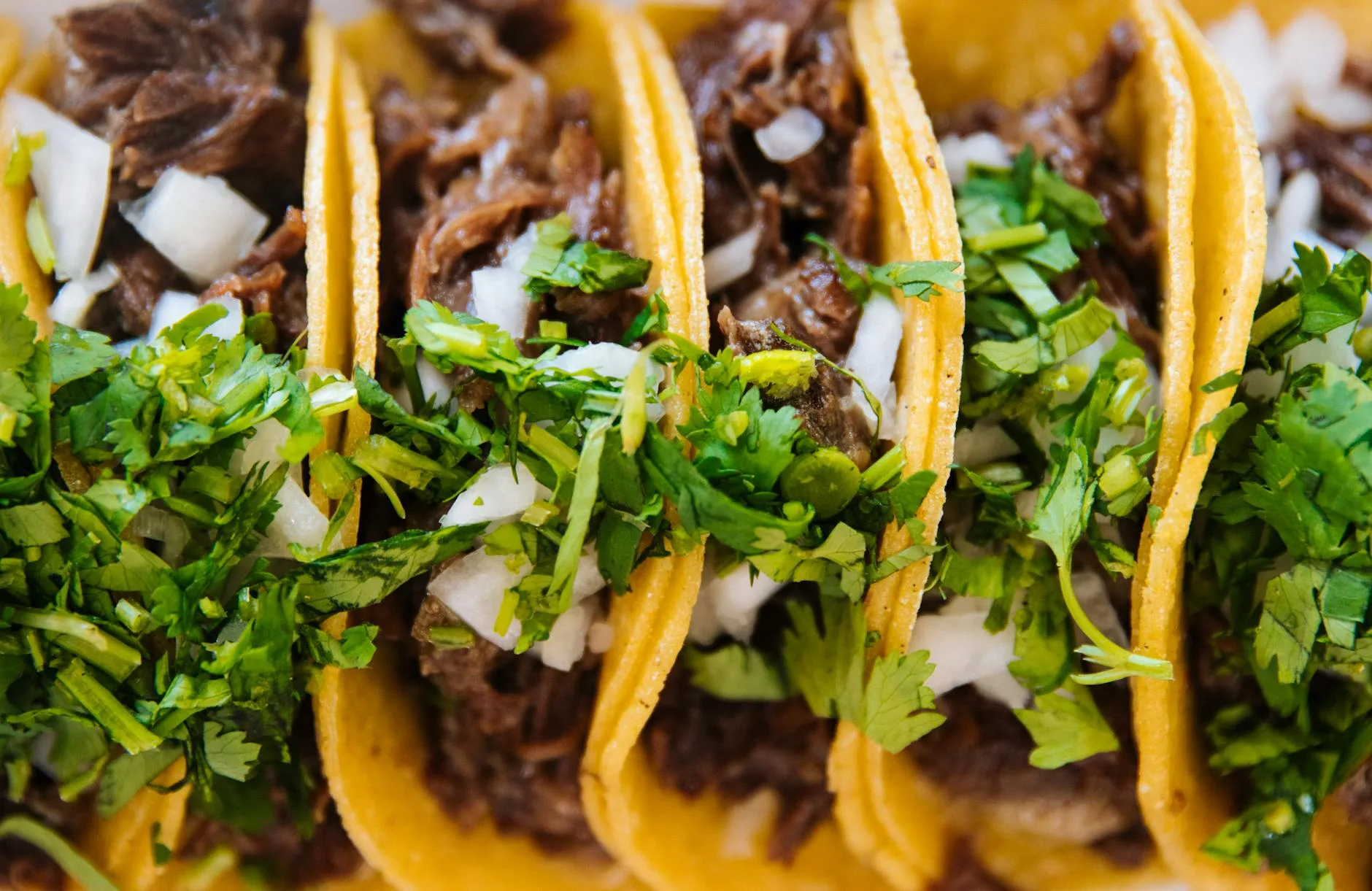 mouthwatering tacos in macro shot photography. Listeria