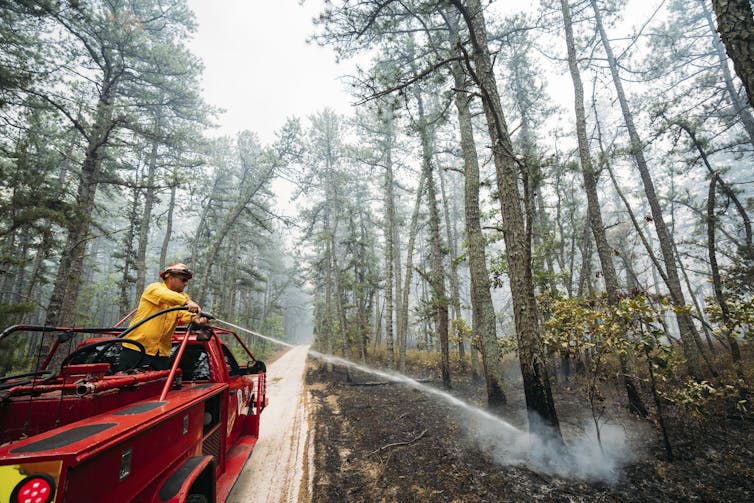 A firefighter standing on a truck sprays water on burned soil along the side of a narrow road.