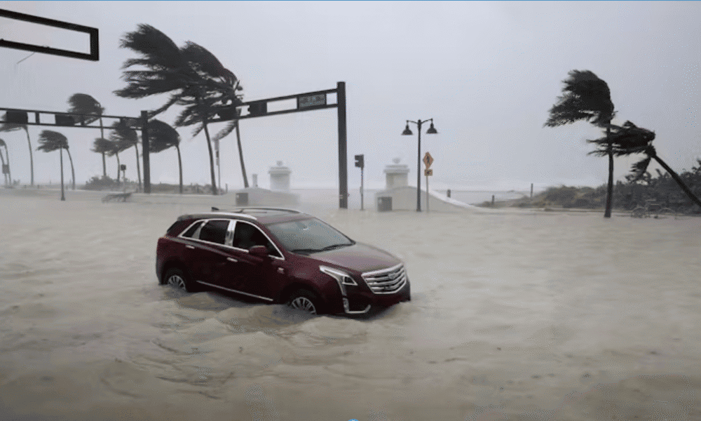 How AI can improve storm surge forecasts to help save lives - Daily News
