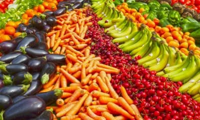 variety of fruits and vegetables