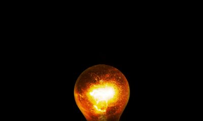clear bulb