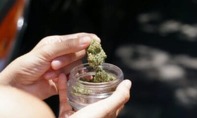 green kush in clear glass jar
