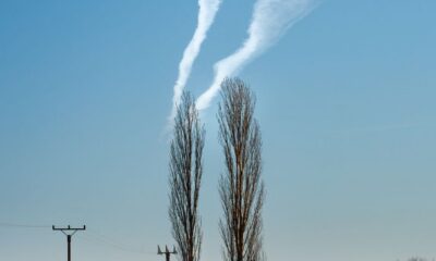 winter landscape with vapor trails and trees