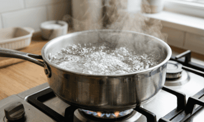 Firefly Gemini Flash Featured image prompt Photorealistic editorial image of a stainless steel pot filled 862793